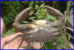 Age MUD CRAB solid brass aged bronze heavy decoration stunning 21 cm hand made B