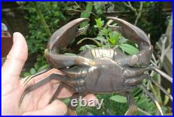 Age MUD CRAB solid brass aged bronze heavy decoration stunning 21 cm hand made B