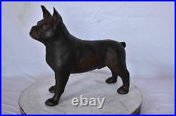 French Bulldog Standing Made of Bronze Statue Size 9L x 20W x 18H