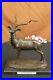 Gray_Ghost_Deer_With_Horn_Stag_Buck_Bronze_Sculpture_Hand_Made_Figurine_Statue_01_rlr