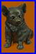 Hand_Made_Chihuahua_Dog_In_Hooded_Sweater_Statue_Figurine_Bronze_Sculpture_01_jdsx